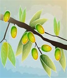 میوه قرآنی درخت صلح