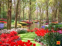 توکل واعتمادبه نفس