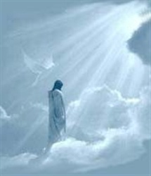 تمام حرف این است، بندگی خدا