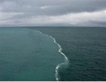 یک نشانه قرآنی در دانمارک