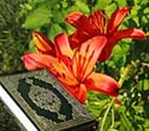 بررسی کنایههای قرآنی در فرهنگ ایرانی