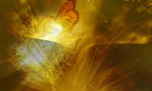 زبان و ادبیات وحی در اسلام و مسیحیت