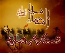 سید الشهداء علیه السلام فقط در حادثه کربلا تفسیر و خلاصه نمیشود