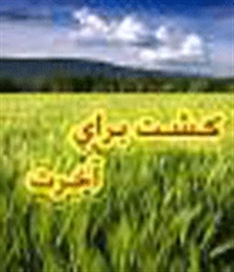 جویندگان تجارت پر سود؛ بسم الله !