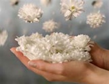 عاملی با اثر فوری برای رفع گرفتاری ها