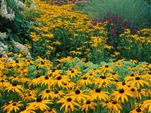 قرآن و ولایت