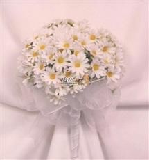 آیا جنیان و فرشتگان هم منتظر ظهورند؟