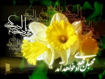 حکایت دیدار عبدالکریم پینهدوز با امام زمان(عج)